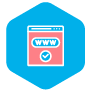 Domain Age Checker